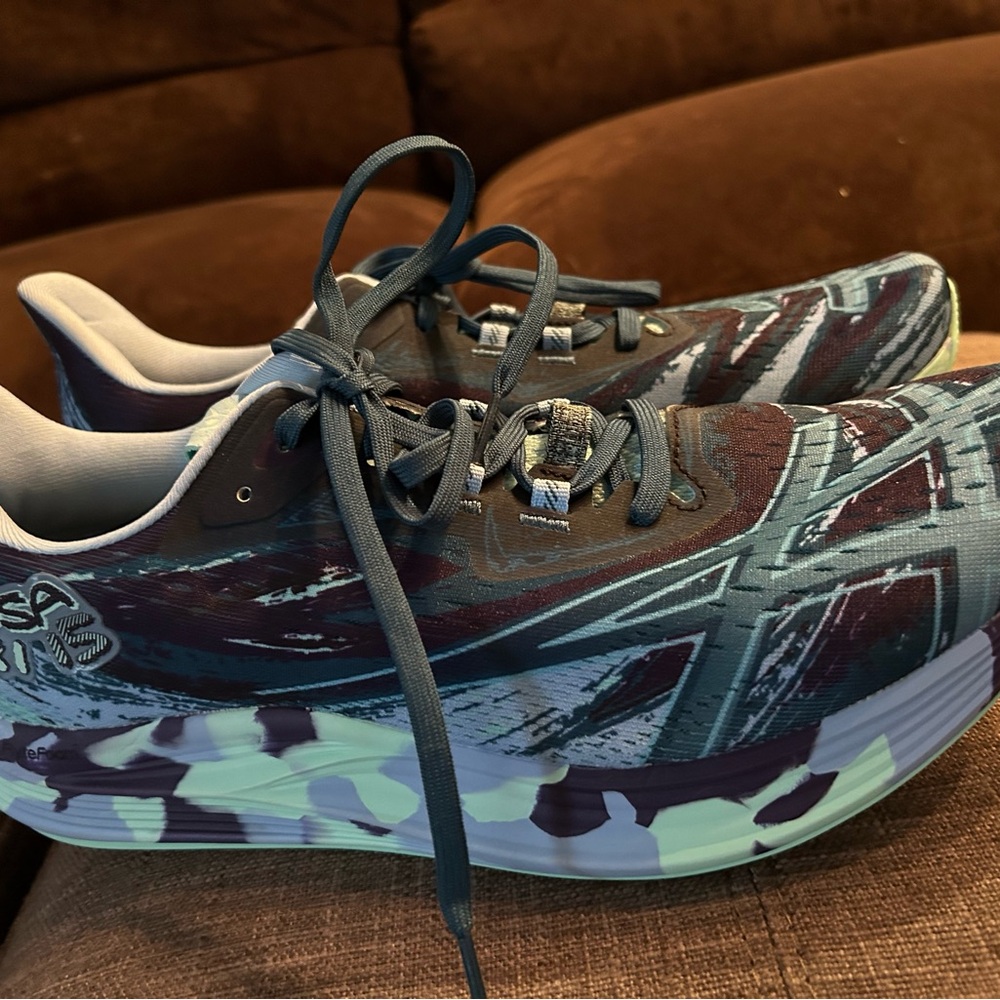 ASICS Men's Noosa 15